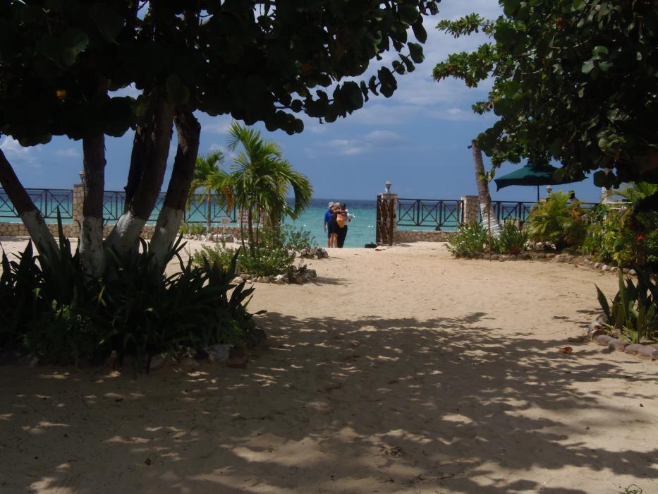 Name:  Jamaica Oct 2012 041.jpg
Views: 541
Size:  92.8 KB