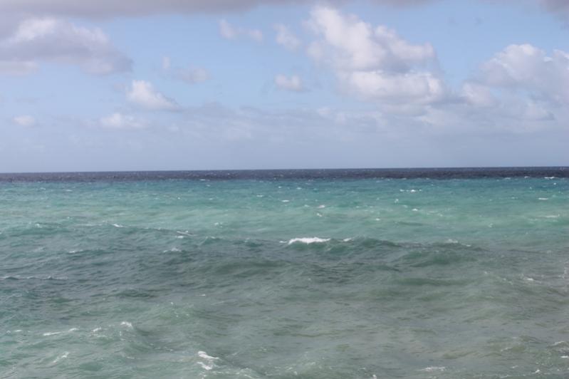Name:  203.jpg
Views: 442
Size:  35.8 KB