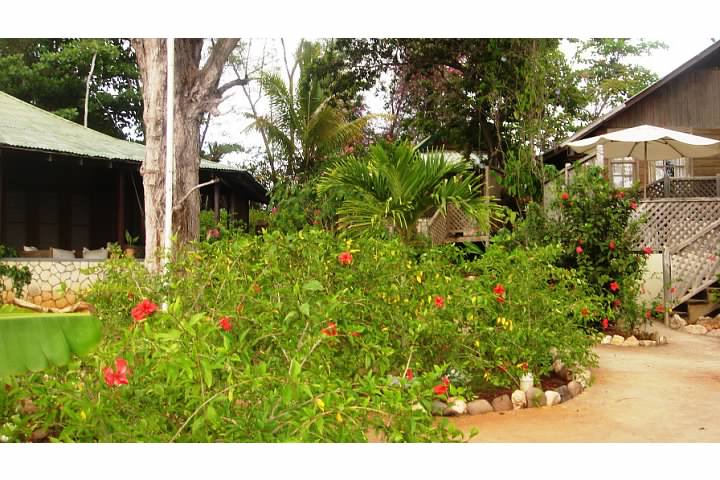 Name:  cottages 2.jpg
Views: 1143
Size:  74.0 KB