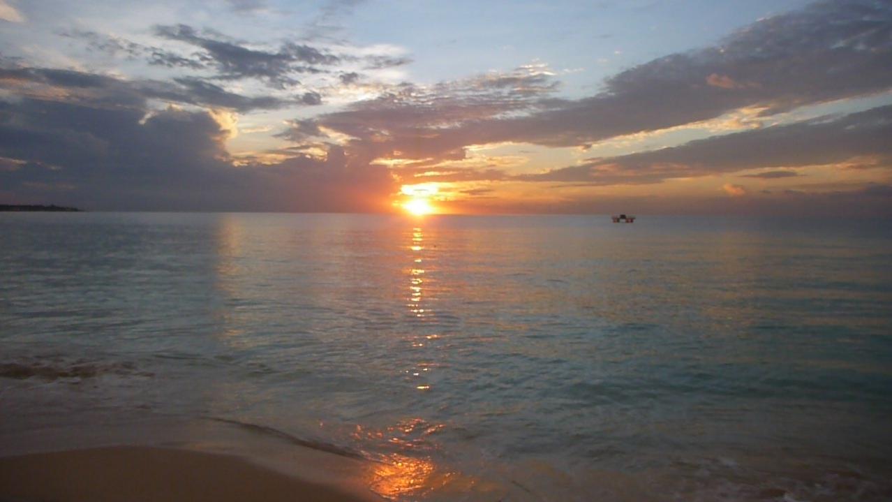 Name:  P1020232.jpg
Views: 617
Size:  68.7 KB