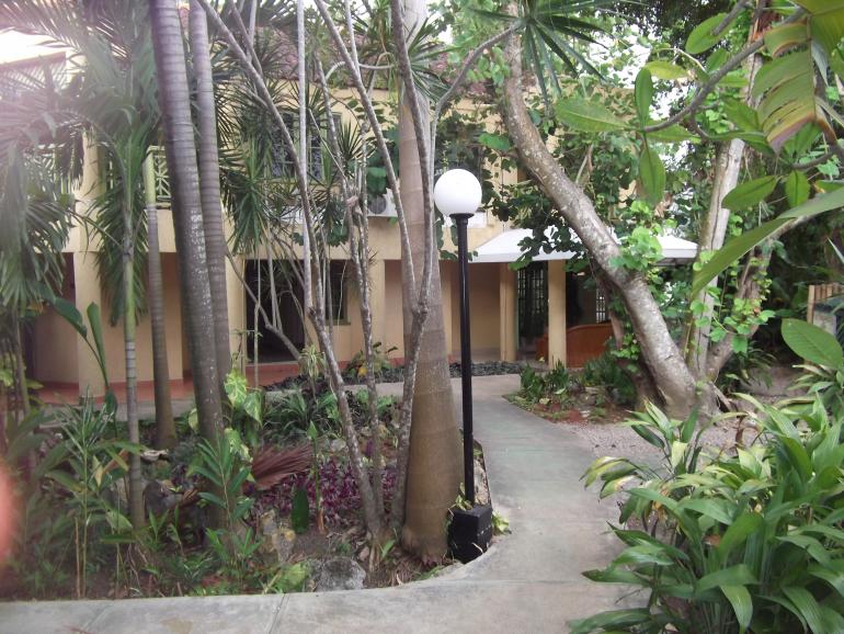Name:  DSCF0817.jpg
Views: 1515
Size:  99.7 KB