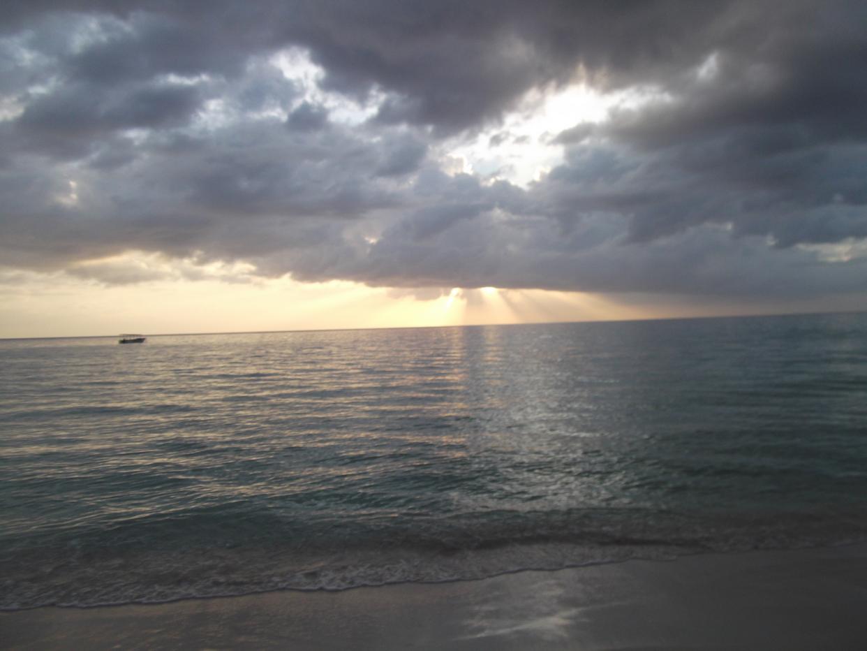Name:  DSCF0833.jpg
Views: 1493
Size:  82.6 KB