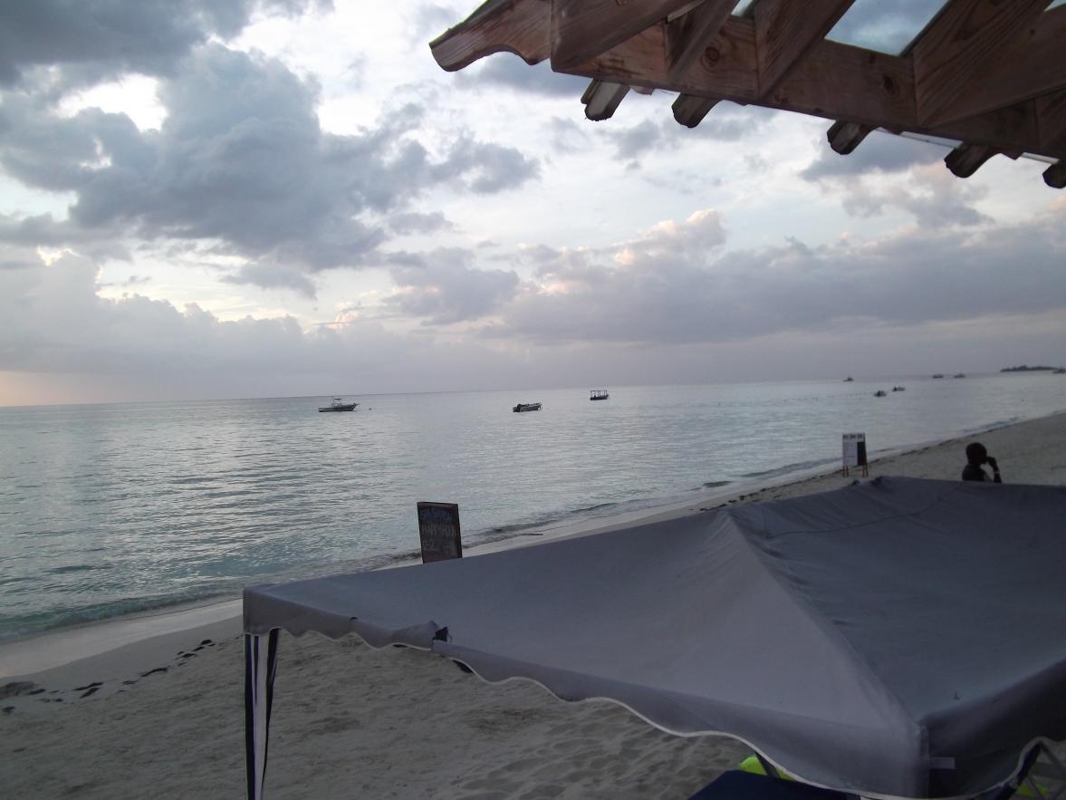 Name:  DSCF0846.jpg
Views: 1490
Size:  87.1 KB