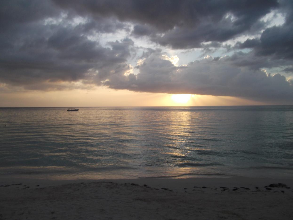 Name:  DSCF0841.jpg
Views: 1498
Size:  81.9 KB