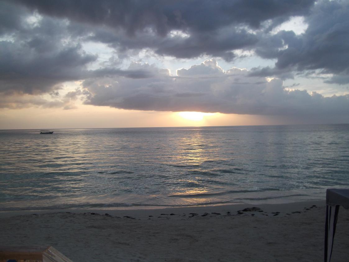 Name:  DSCF0844.jpg
Views: 1495
Size:  89.8 KB