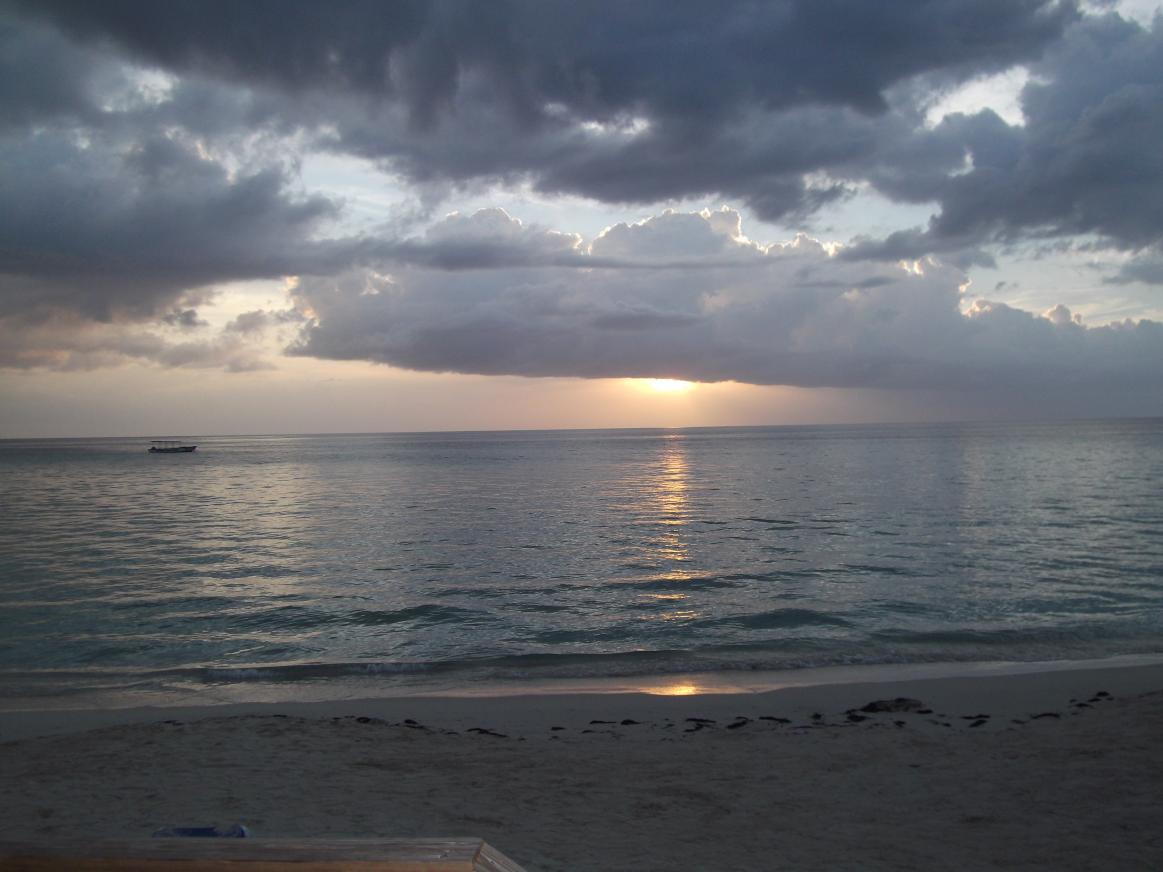 Name:  DSCF0848.jpg
Views: 1489
Size:  89.1 KB