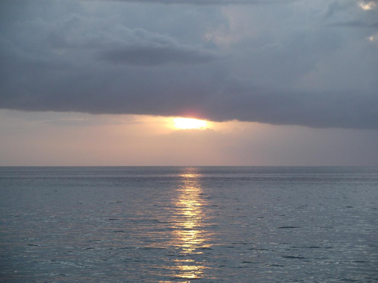 Name:  DSCF0850.jpg
Views: 1520
Size:  93.9 KB