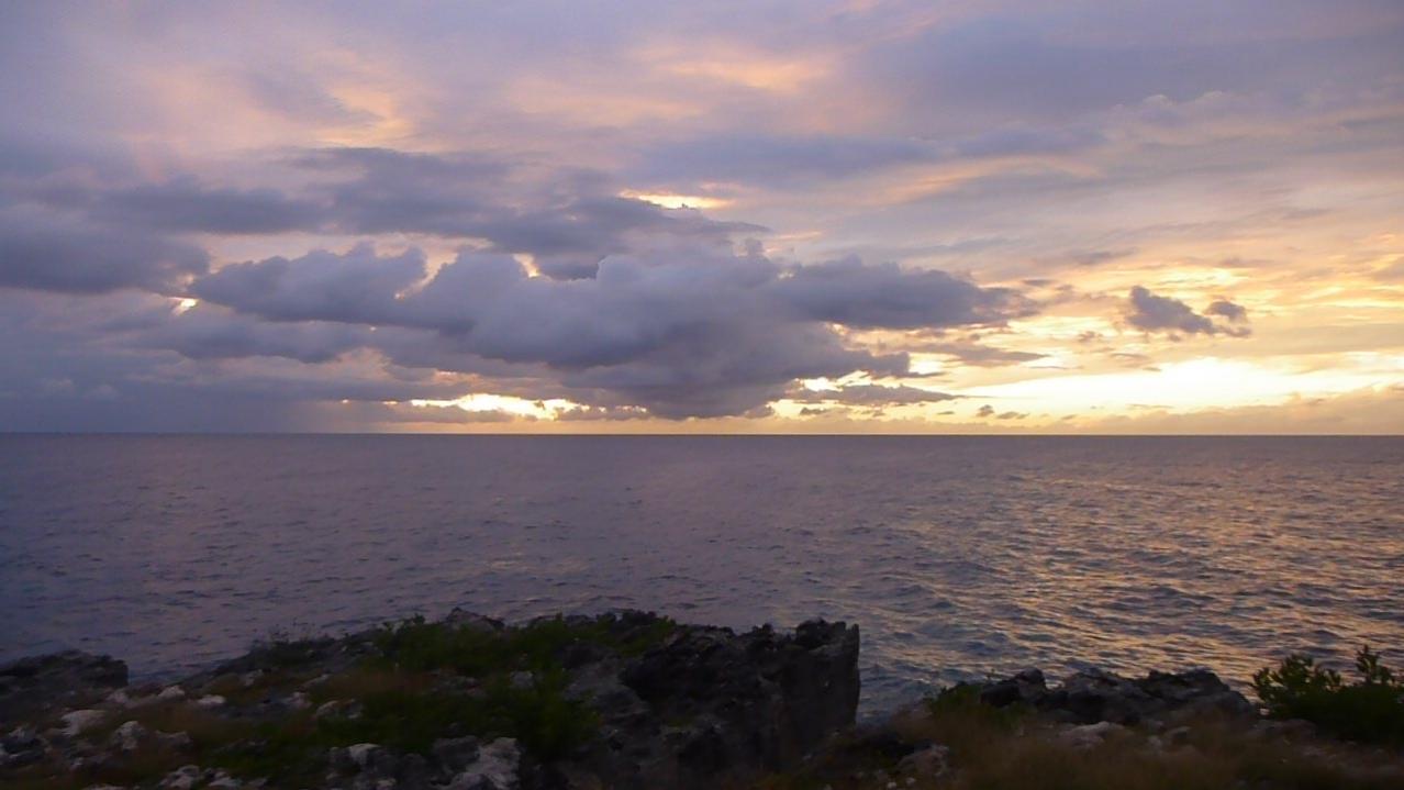 Name:  P1020323.jpg
Views: 599
Size:  75.7 KB