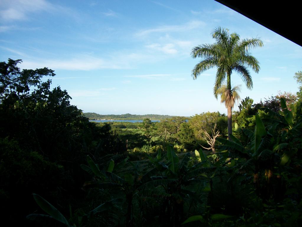 Name:  Copy of Jamaica10 001.jpg
Views: 188
Size:  92.9 KB