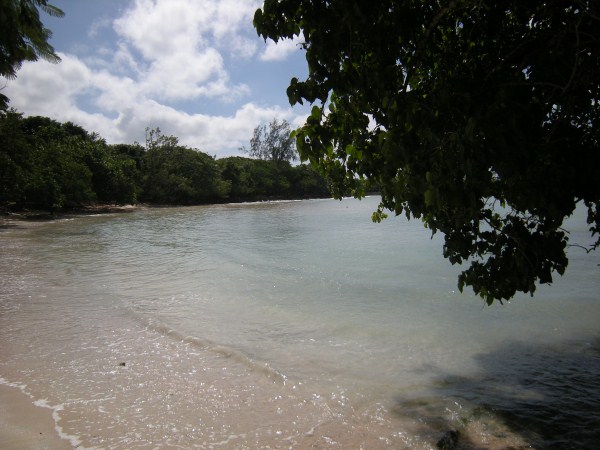 Name:  Jamaica 2009 - Half Moon Beach - DSCN9374.jpg
Views: 458
Size:  67.7 KB
