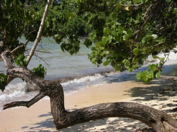 Name:  Jamaica 2009 - Half Moon Beach - DSCN9395.jpg
Views: 426
Size:  58.5 KB