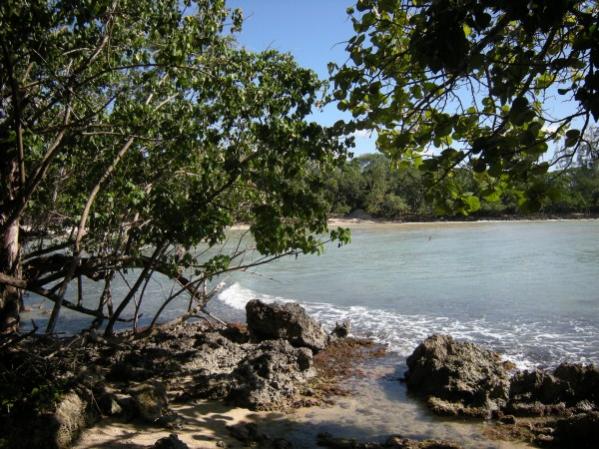 Name:  Jamaica 2009 - Half Moon Beach - DSCN9403.jpg
Views: 414
Size:  69.3 KB