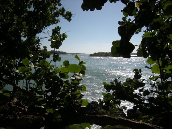 Name:  Jamaica 2009 - Half Moon Beach - DSCN9405.jpg
Views: 425
Size:  85.1 KB