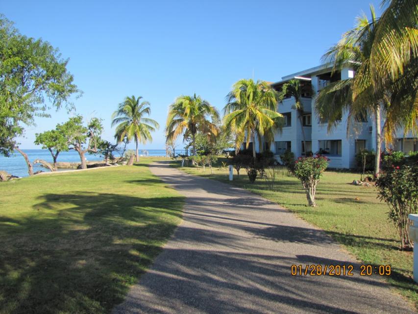 Name:  path in front of condo.jpg
Views: 751
Size:  96.6 KB