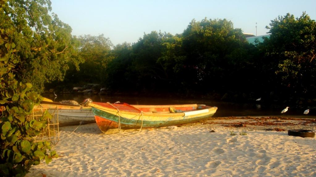 Name:  DSC06436.jpg
Views: 1002
Size:  92.3 KB