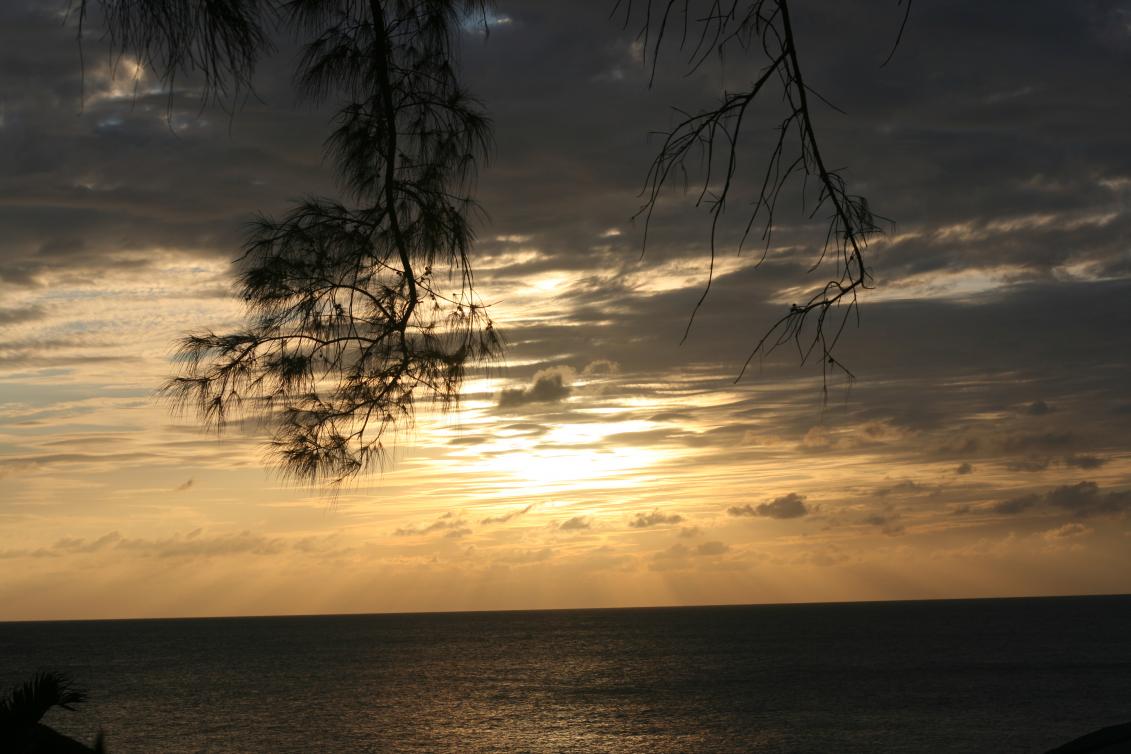 Name:  IMG_9451.jpg
Views: 1247
Size:  92.7 KB