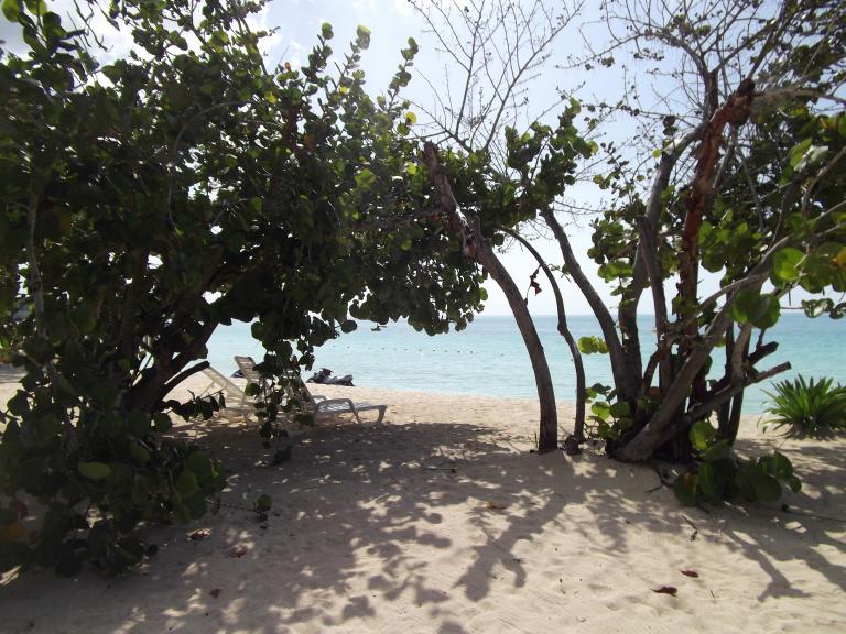 Name:  DSCF0891.jpg
Views: 1336
Size:  99.7 KB