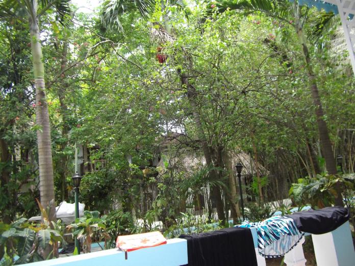 Name:  DSCF0875.jpg
Views: 1423
Size:  101.2 KB