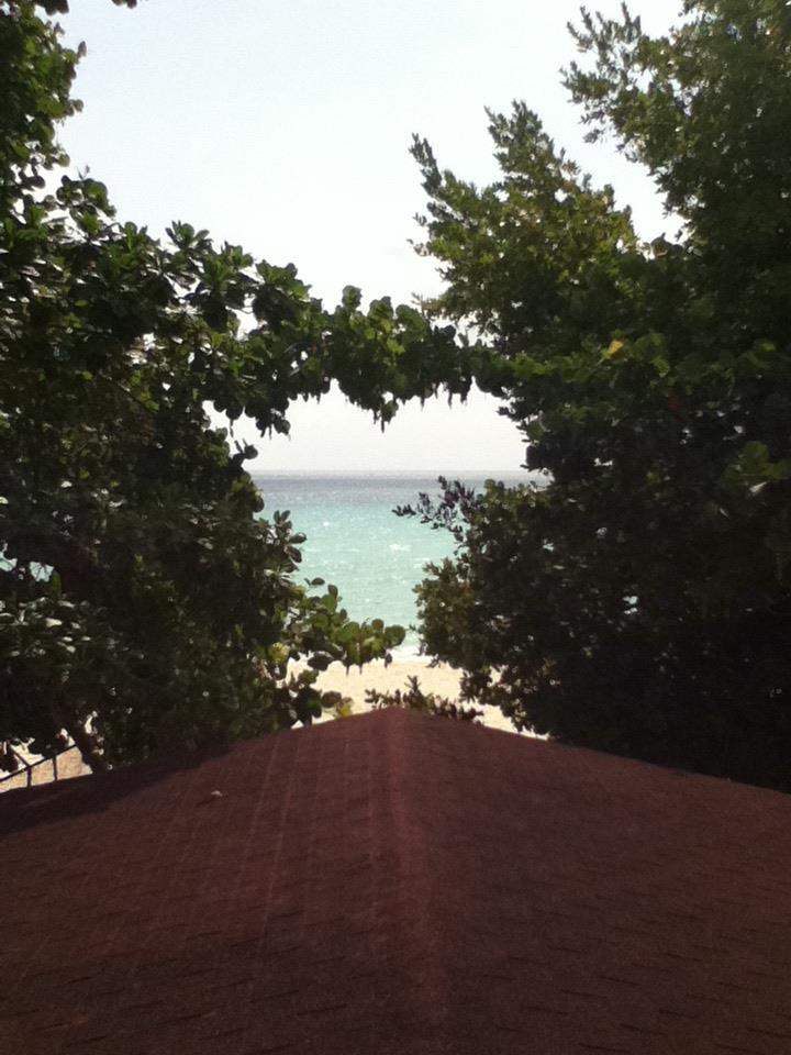 Name:  601095_10150831799471642_774179071_n.jpg
Views: 329
Size:  82.4 KB