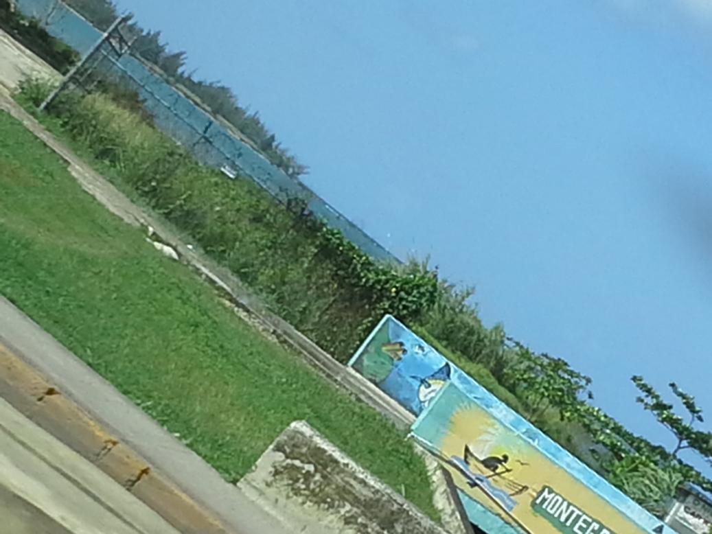 Name:  20121110_102033.jpg
Views: 1078
Size:  85.8 KB