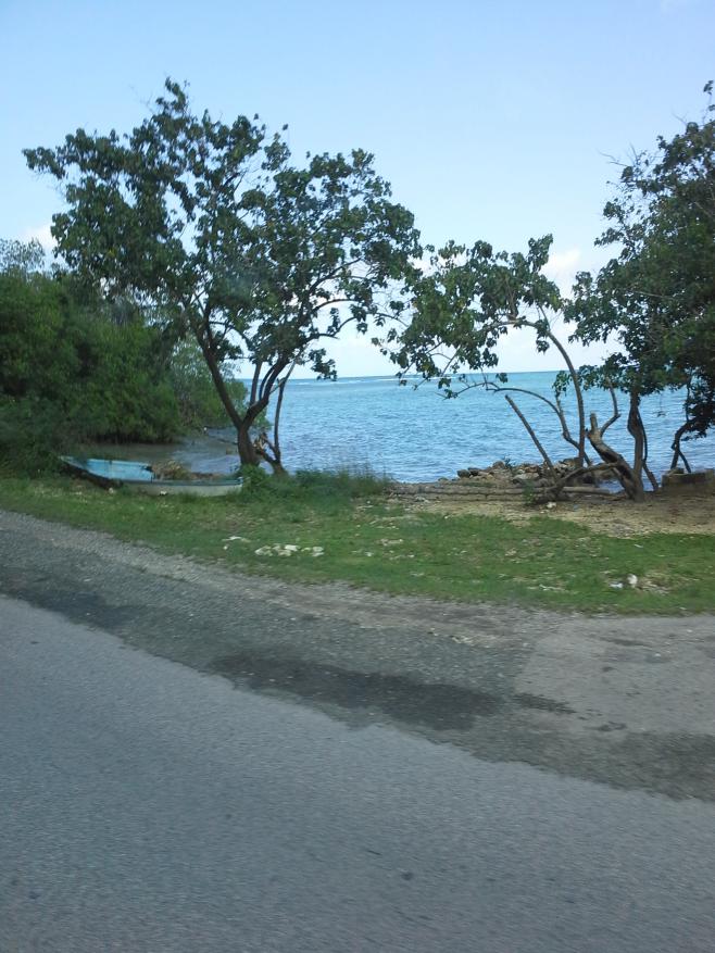 Name:  20121110_103031.jpg
Views: 1069
Size:  96.5 KB