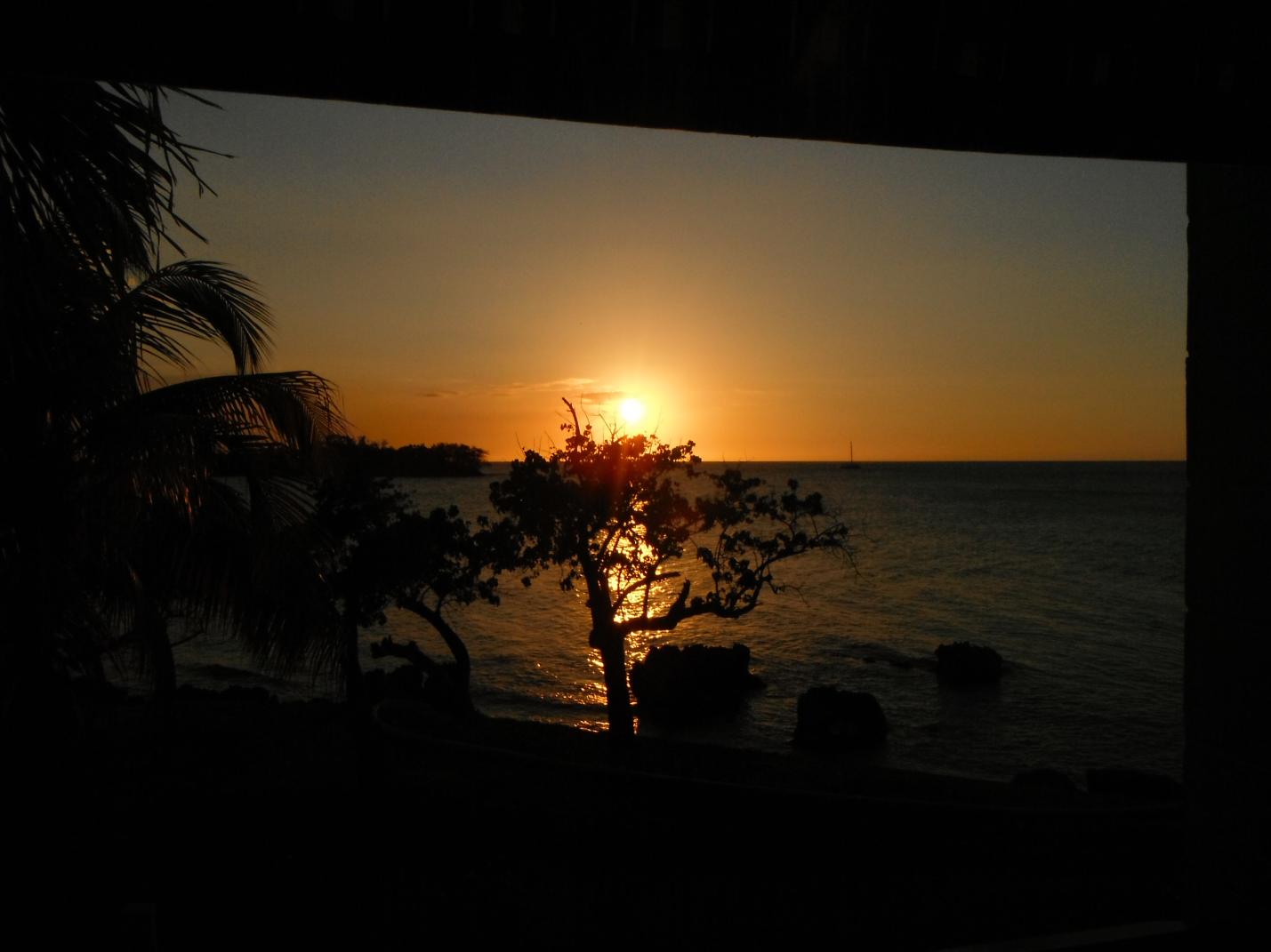 Name:  Jamaica and stuff 022.jpg
Views: 525
Size:  85.0 KB