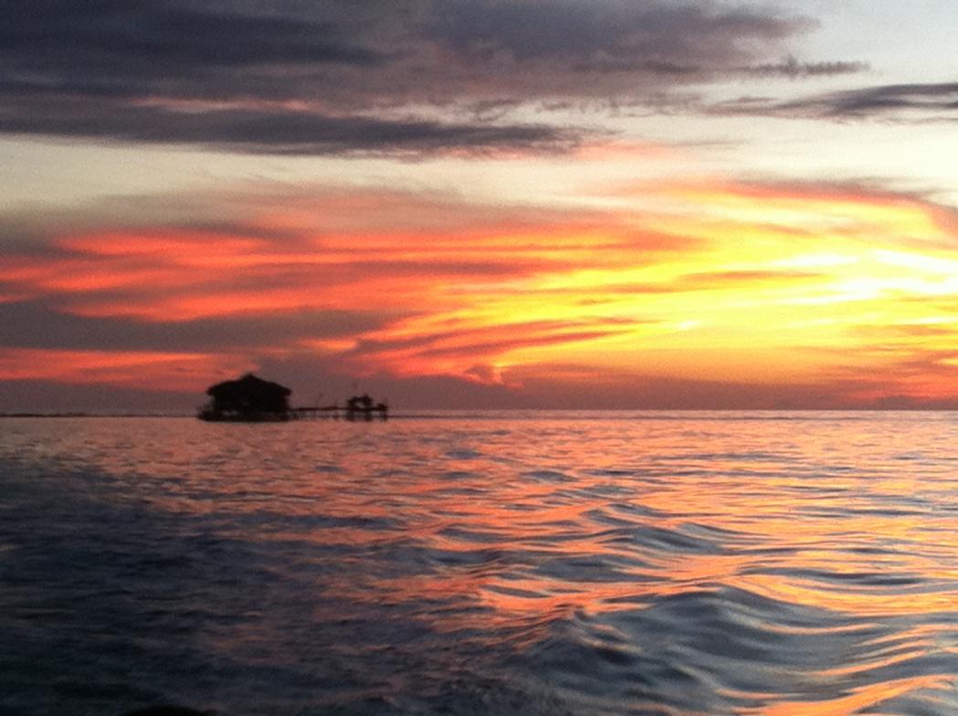 Name:  Jamaica November 2012 236.jpg
Views: 297
Size:  92.9 KB