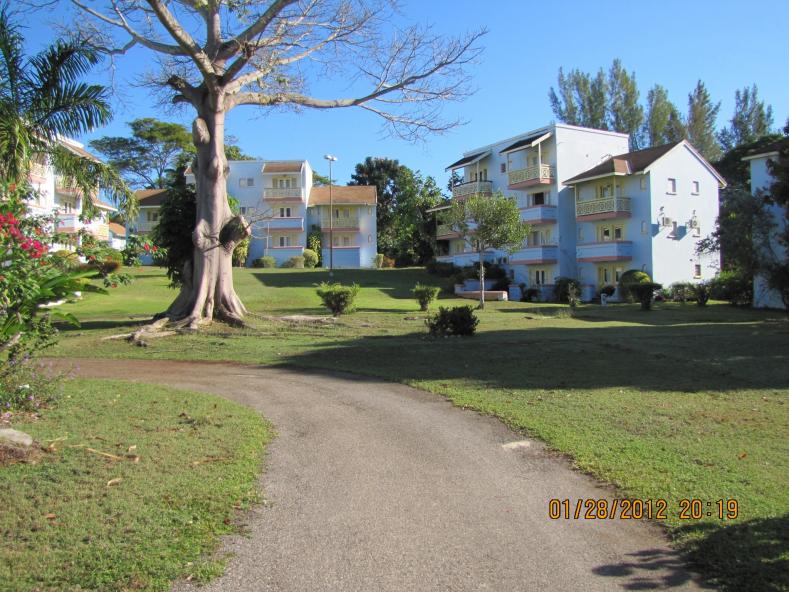 Name:  open space.jpg
Views: 559
Size:  97.5 KB