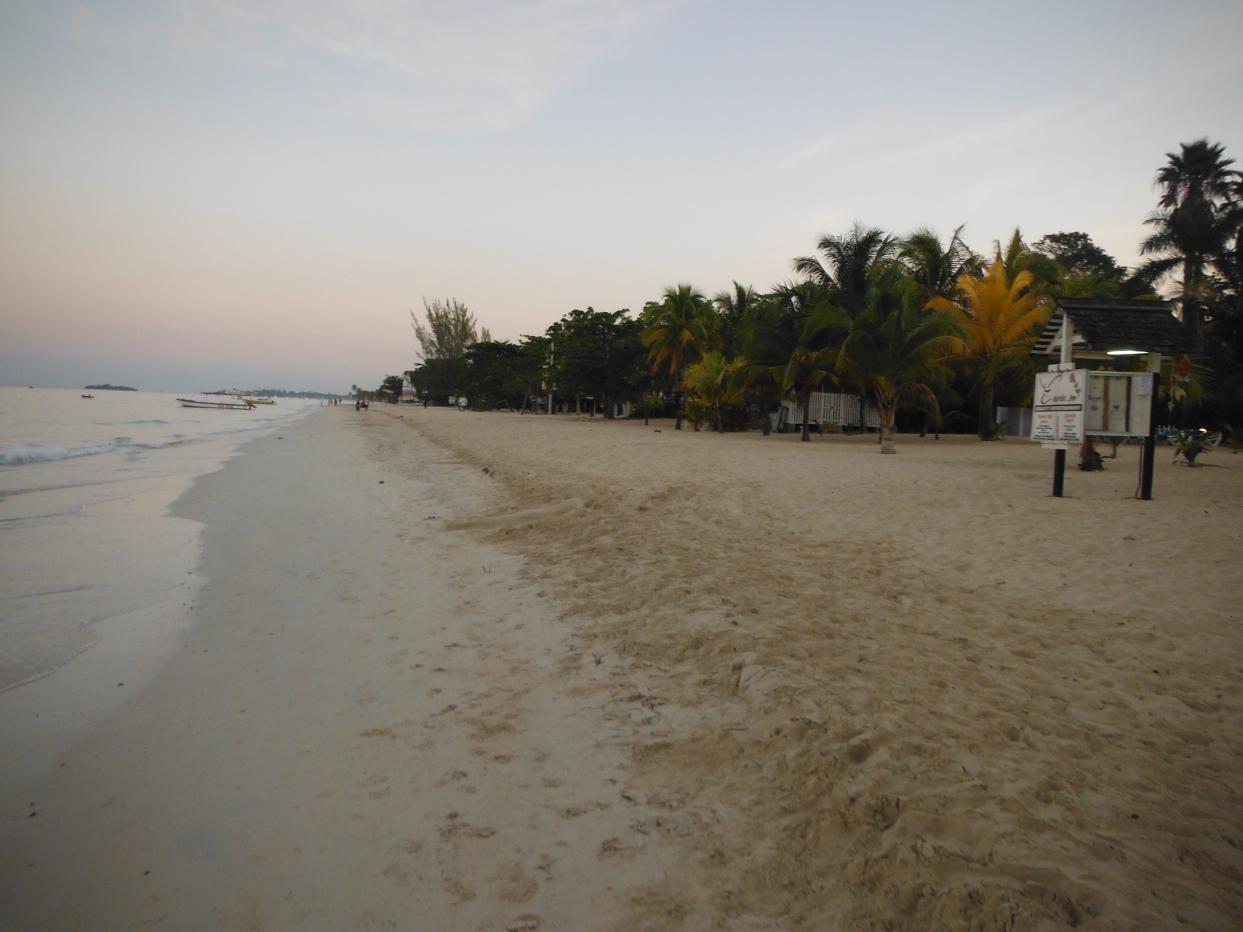 Name:  019.jpg
Views: 444
Size:  86.2 KB