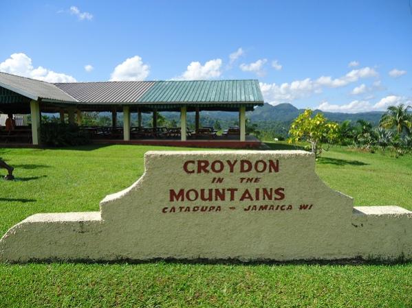 Name:  Croydon1.jpg
Views: 611
Size:  53.0 KB