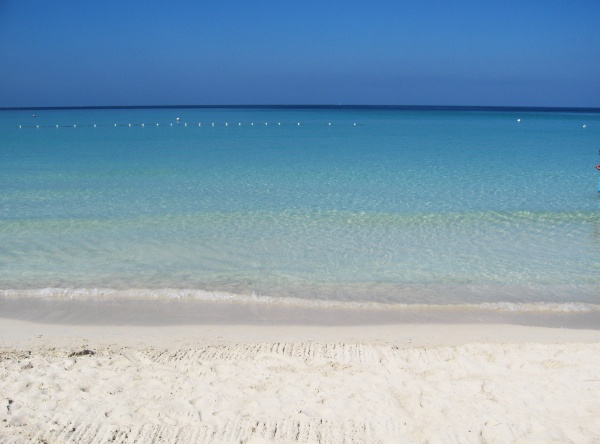 Name:  res_bluesea10.jpg
Views: 950
Size:  83.8 KB