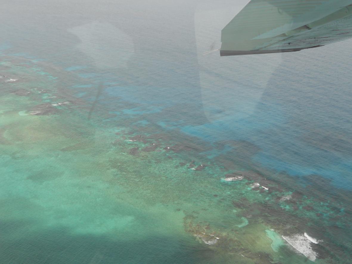 Name:  the start of another Negril vacatio!! 004.jpg
Views: 410
Size:  94.7 KB