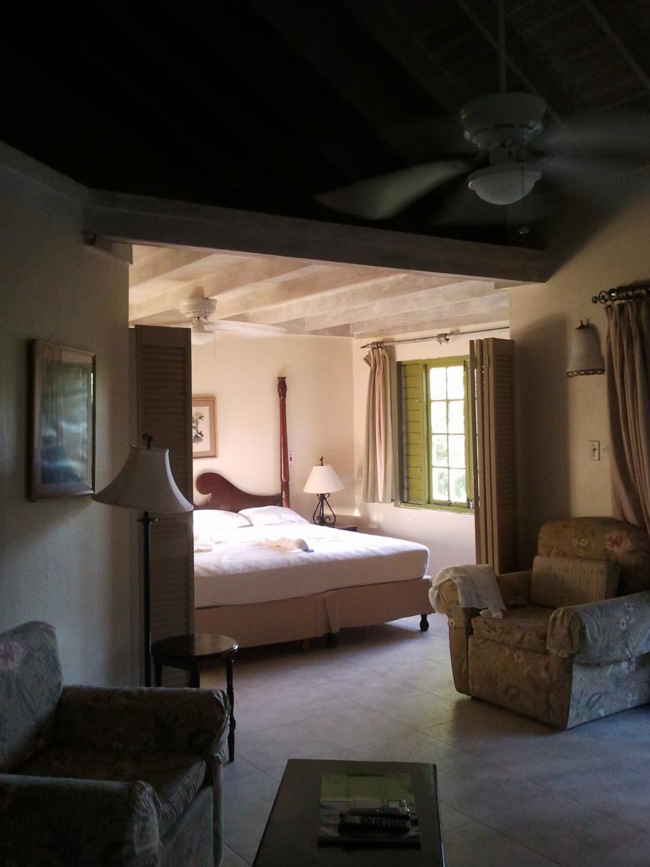 Name:  negril.room6.jpg
Views: 1061
Size:  84.4 KB