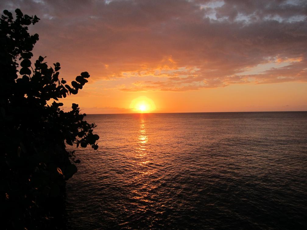 Name:  240.jpg
Views: 717
Size:  93.4 KB