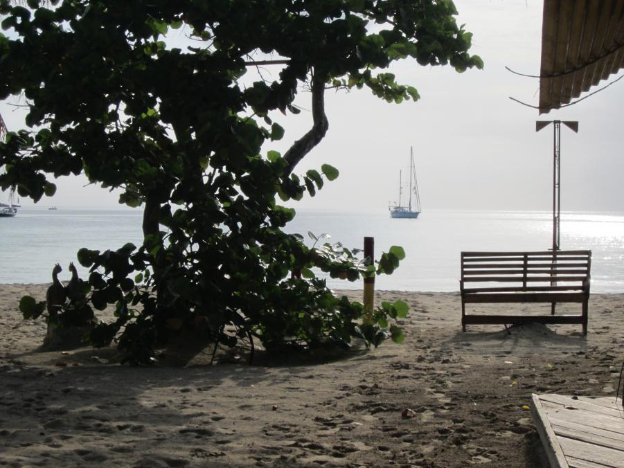 Name:  Negril 2012 017.jpg
Views: 430
Size:  94.1 KB