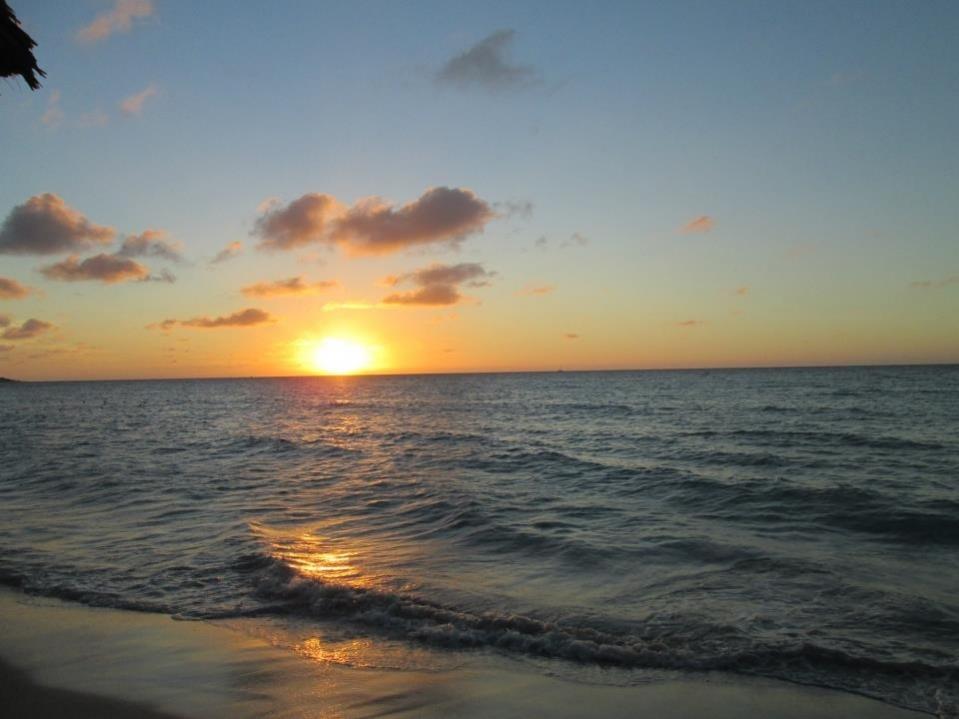 Name:  image.jpg
Views: 253
Size:  60.1 KB