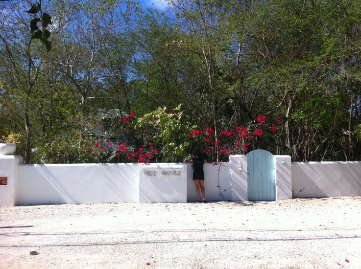 Name:  IMG_0044.jpg
Views: 702
Size:  97.6 KB