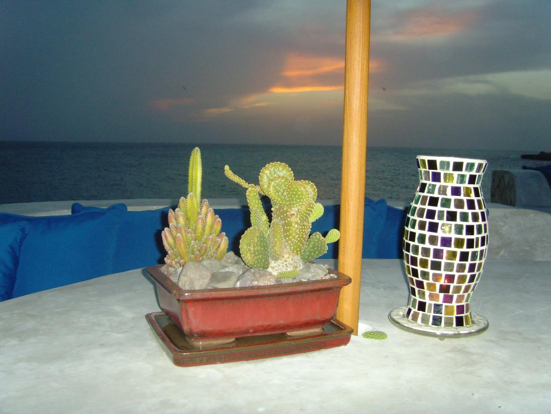 Name:  SNV30008.jpg
Views: 566
Size:  90.2 KB