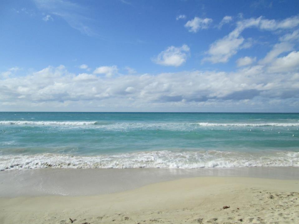 Name:  image.jpg
Views: 239
Size:  55.9 KB