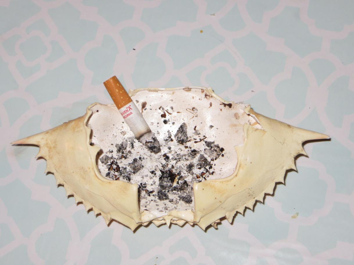 Name: IMG_0150.jpg
Views: 471
Size: 83.5 KB