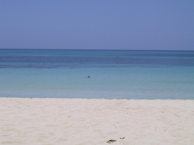 Click image for larger version. 

Name:	IMG_0117.JPG 
Views:	964 
Size:	49.2 KB 
ID:	2046