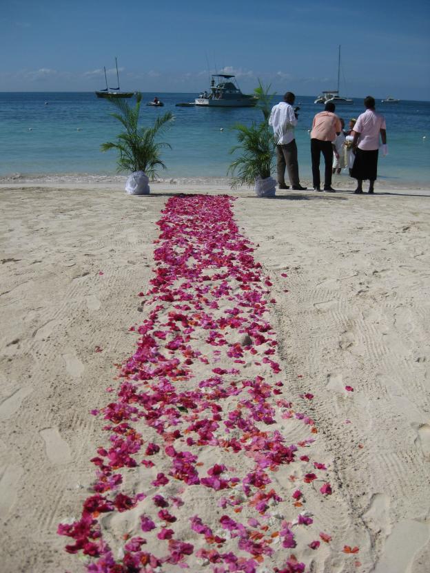 Name:  Jamaica 2009 (113).jpg
Views: 882
Size:  96.4 KB