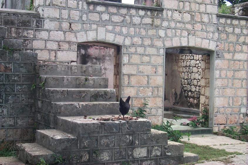 Name:  P0001664.jpg
Views: 422
Size:  101.0 KB