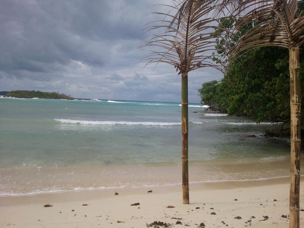 Name:  negril.halfmoon2.jpg
Views: 563
Size:  93.0 KB