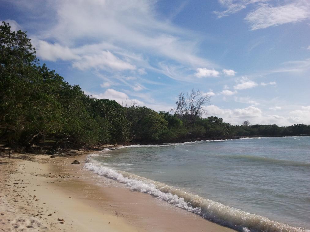 Name:  negril.halfmoon.jpg
Views: 539
Size:  93.2 KB