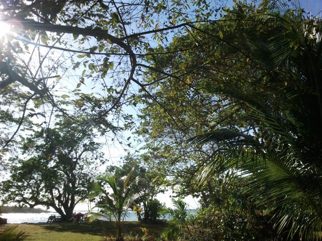 Name:  negril.half3.jpg
Views: 565
Size:  101.6 KB