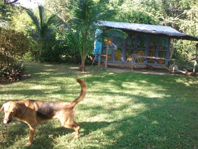 Name:  negril.hal4.jpg
Views: 538
Size:  98.9 KB