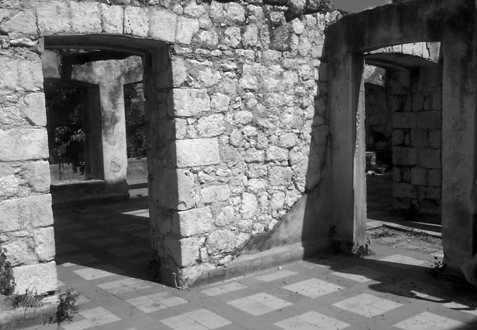 Name:  P0001737.jpg
Views: 405
Size:  96.5 KB