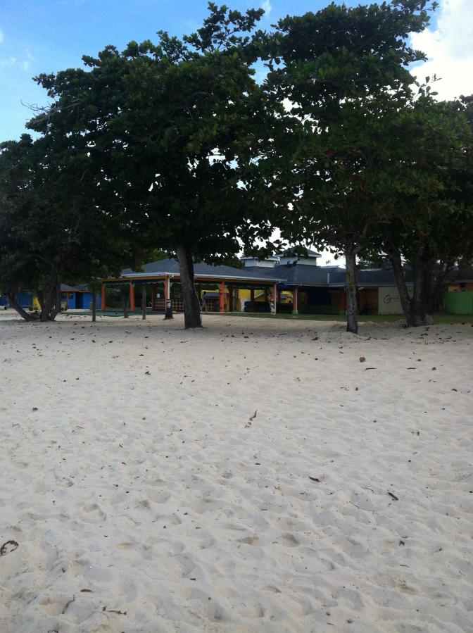 Name:  IMG_0117.jpg
Views: 410
Size:  95.7 KB