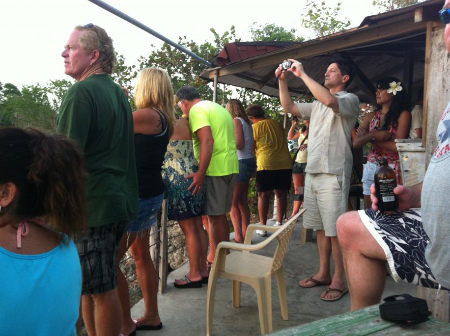 Name:  Jamaica November 2012 101.jpg
Views: 879
Size:  93.8 KB